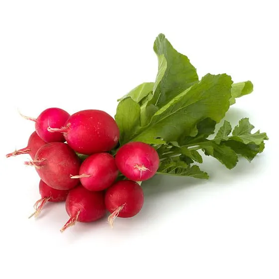 Radish